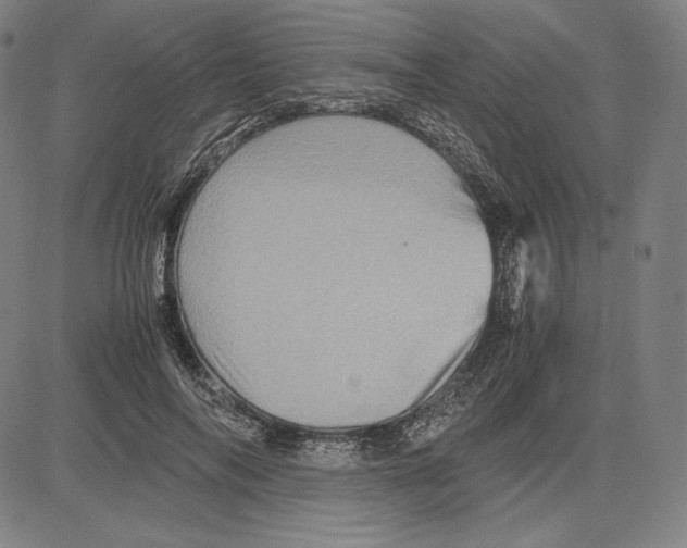 X0000081610694200702121615