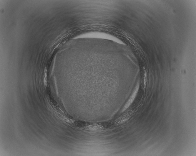 X0000081610696200702121615