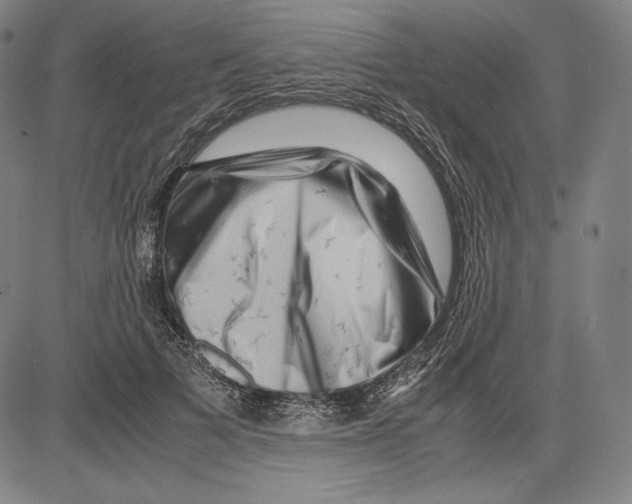 X0000081610697200702121615