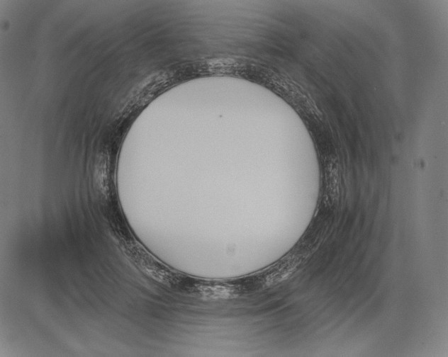 X0000081610698200702121615