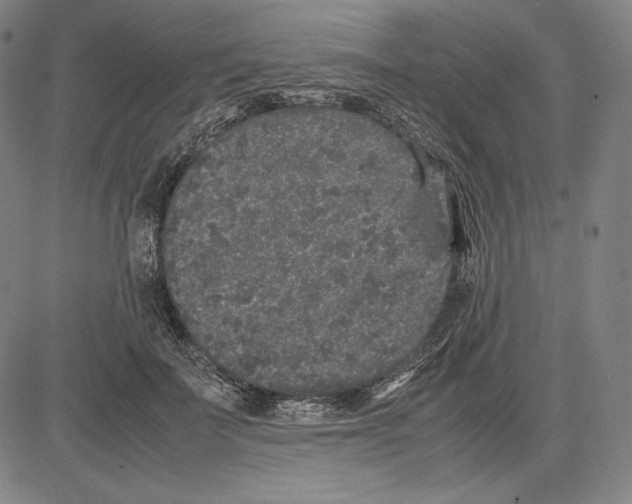 X0000081610699200702121615