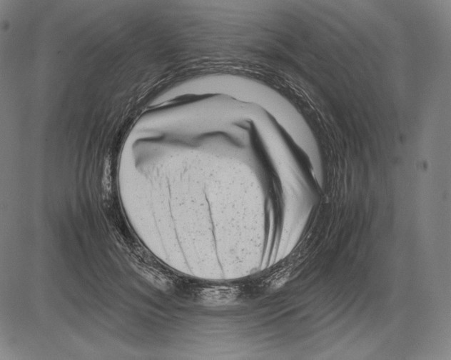 X0000081610700200702121615