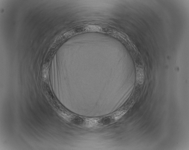 X0000081610701200702121615