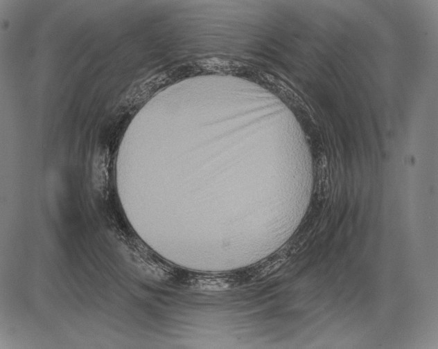 X0000081610702200702121615