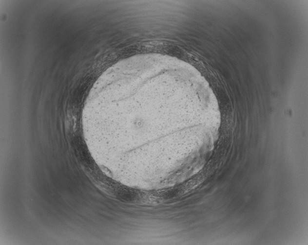 X0000081610703200702121615