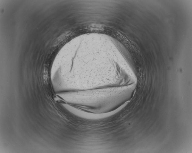 X0000081610704200702121615