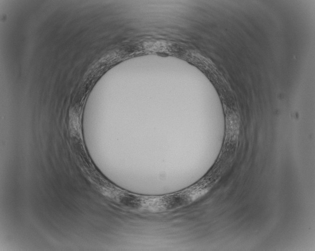 X0000081610705200702121615