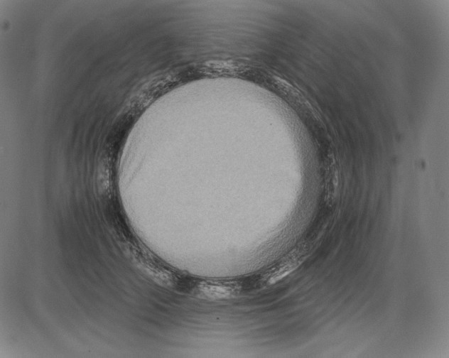 X0000081610706200702121615