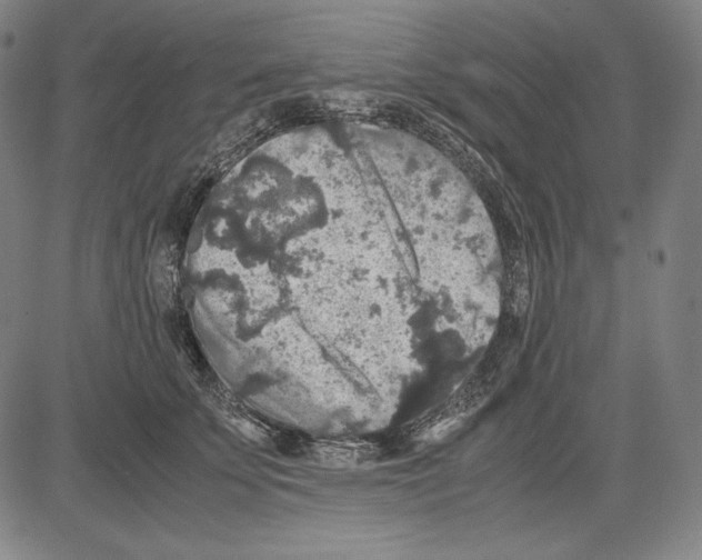 X0000081610707200702121615