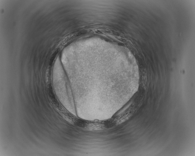 X0000081610708200702121615