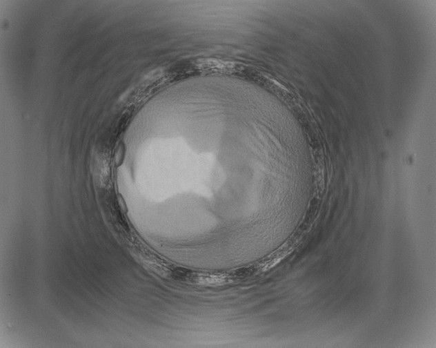 X0000081610709200702121615