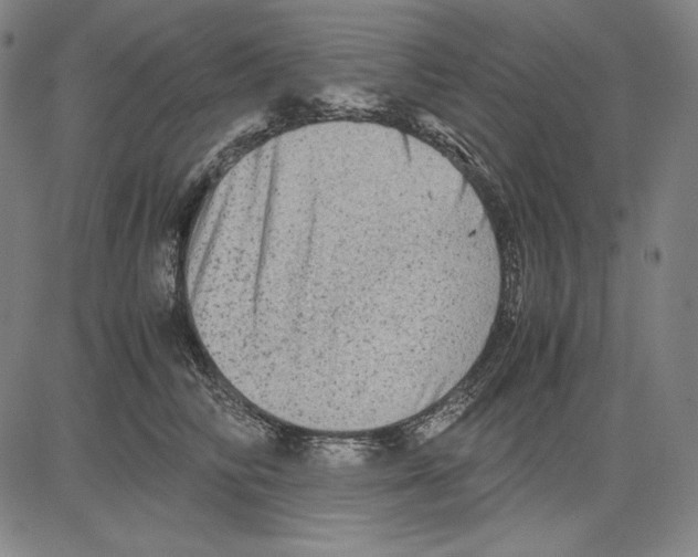 X0000081610710200702121615