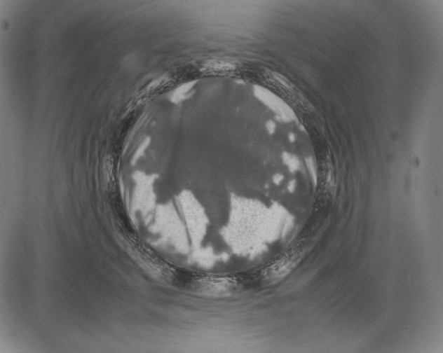 X0000081610711200702121615