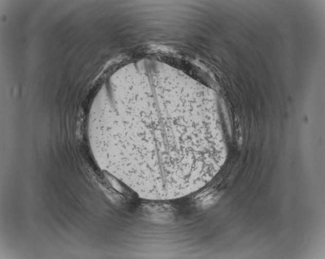 X0000081610712200702121615