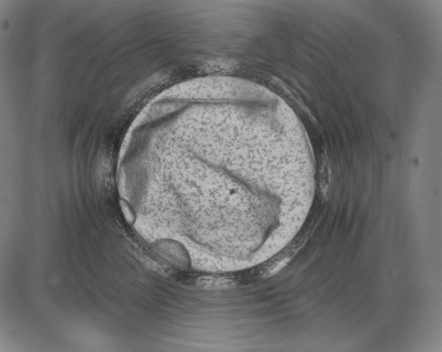 X0000081610714200702121615