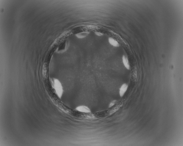 X0000081610715200702121615