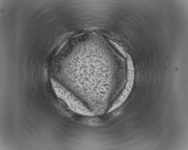 X0000081610716200702121615