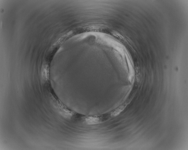 X0000081610718200702121615