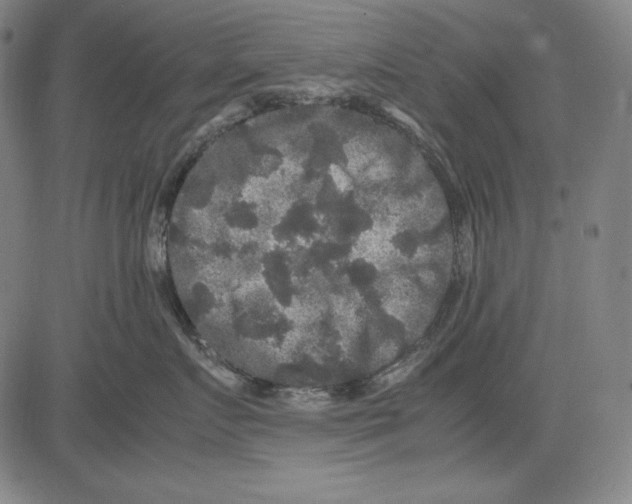 X0000081610719200702121615