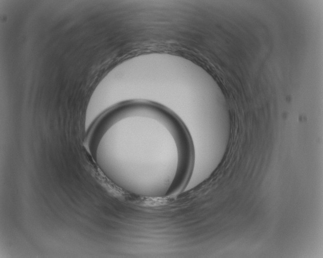 X0000081610720200702121614