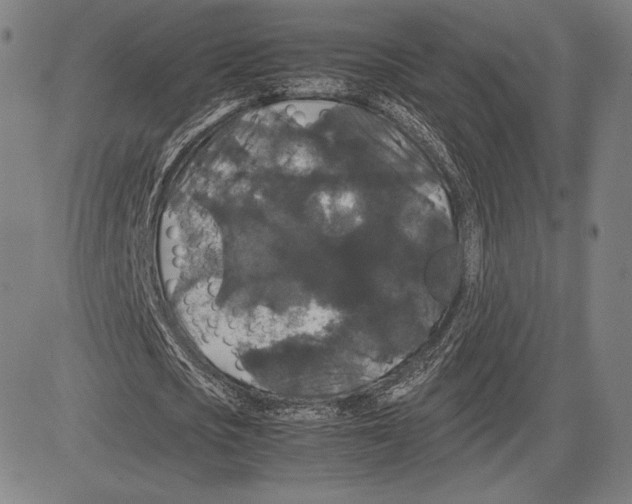 X0000081610721200702121614