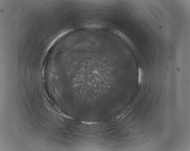 X0000081610723200702121614