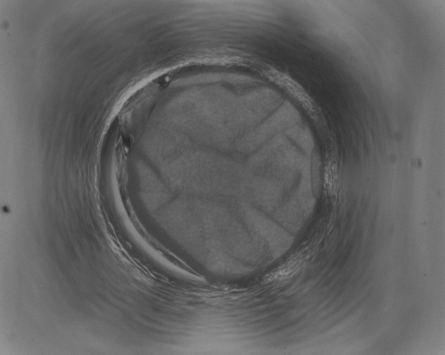 X0000081610724200702121614