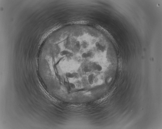 X0000081610725200702121614