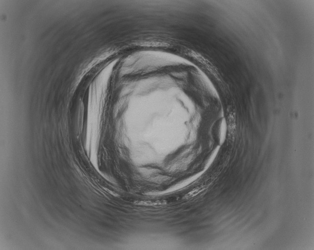 X0000081610727200702121614