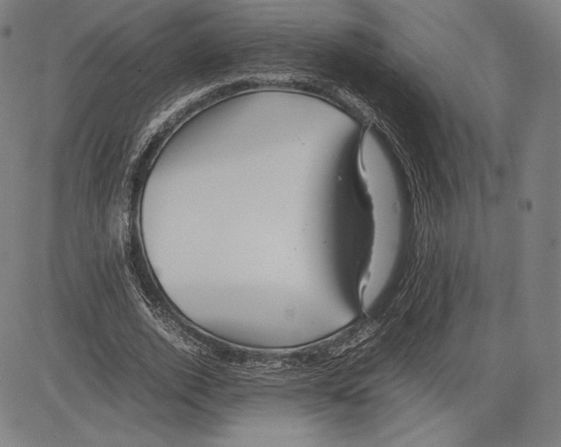 X0000081610728200702121614