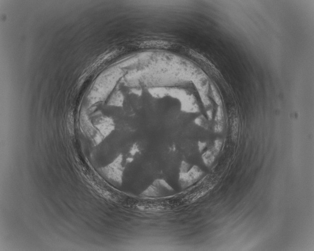 X0000081610729200702121614