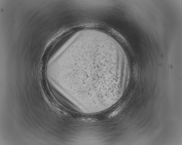 X0000081610730200702121614