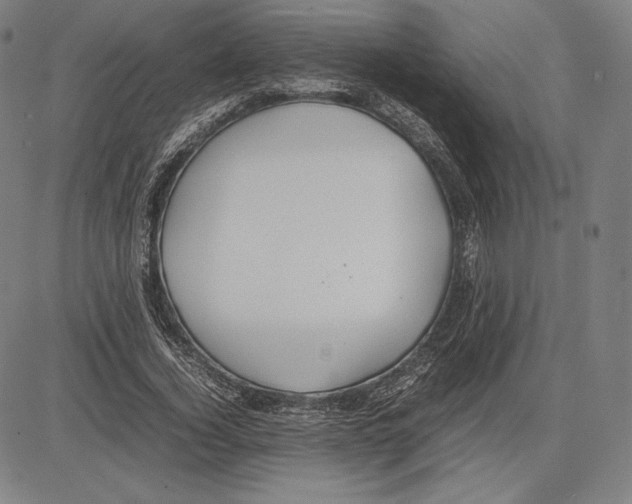 X0000081610732200702121614