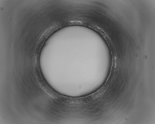 X0000081610733200702121614