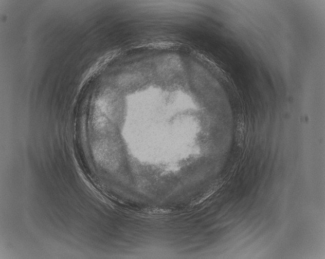 X0000081610734200702121614