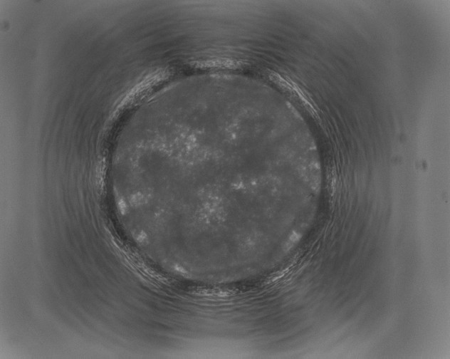 X0000081610735200702121614