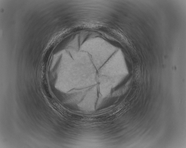 X0000081610736200702121614