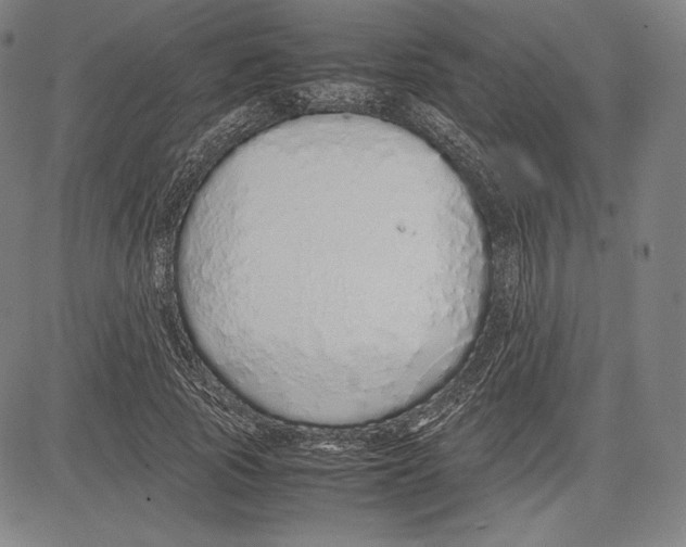 X0000081610737200702121614