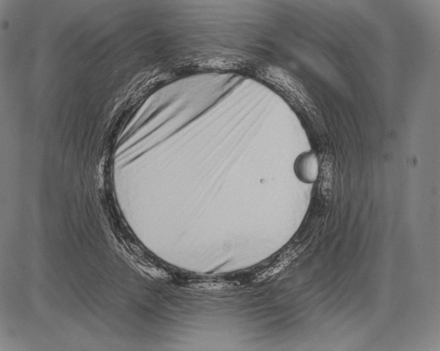 X0000081610738200702121614