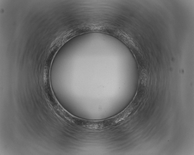 X0000081610740200702121614