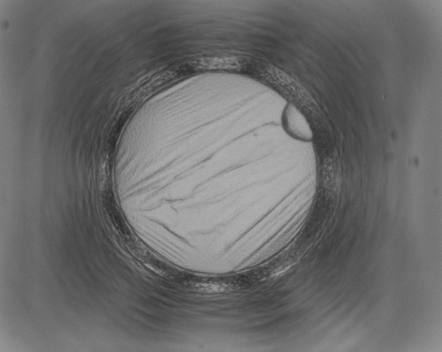 X0000081610741200702121614