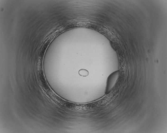 X0000081610744200702121614