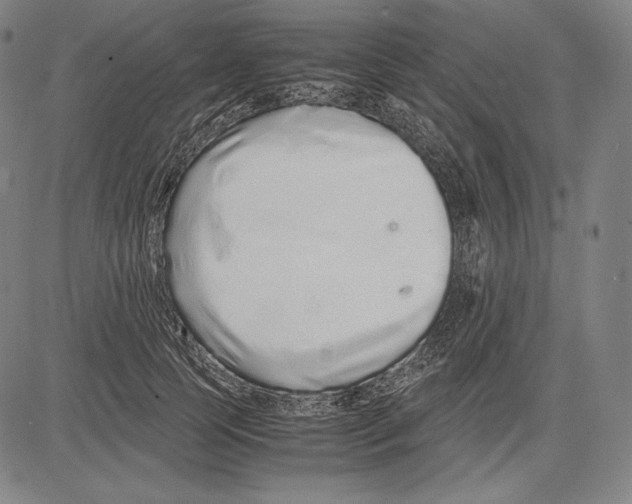 X0000081610745200702121614