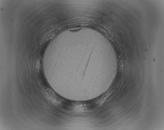 X0000081610746200702121614