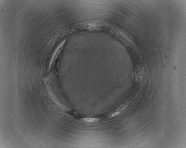 X0000081610748200702121614