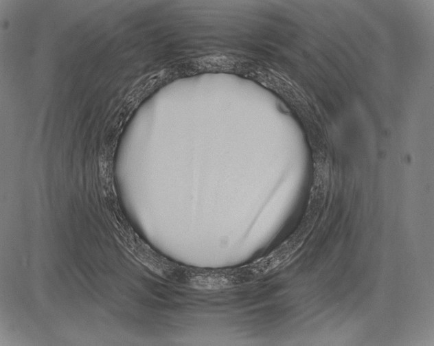 X0000081610749200702121614