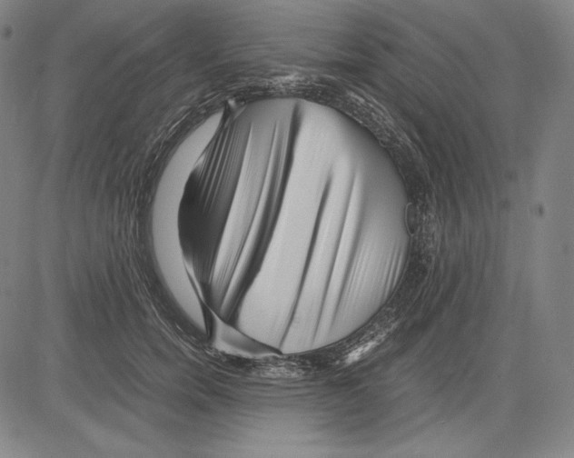 X0000081610750200702121614