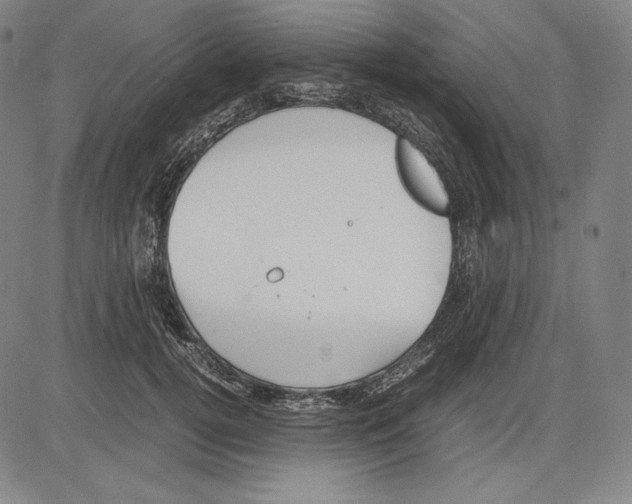 X0000081610752200702121614