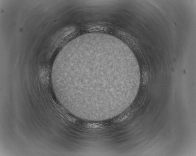 X0000081610753200702121614