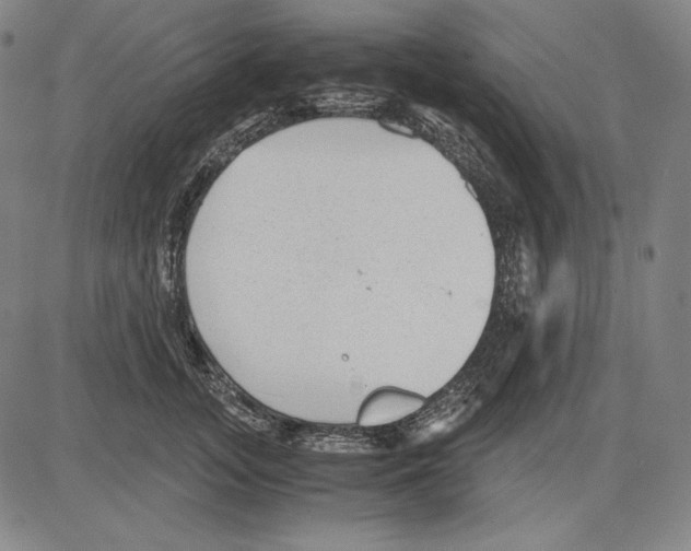 X0000081610755200702121614